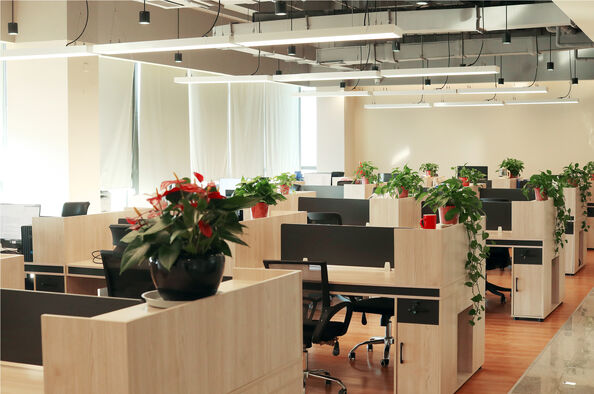 Nanjing Rebece Biotechnology Co., Ltd.