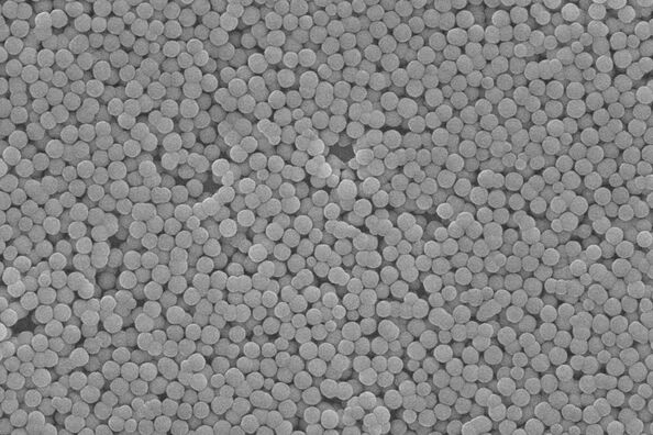 Nanjing Rebeads Biotech Co.,Ltd