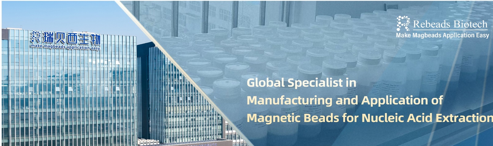 China best DNA Extraction Magnetic Beads on sales