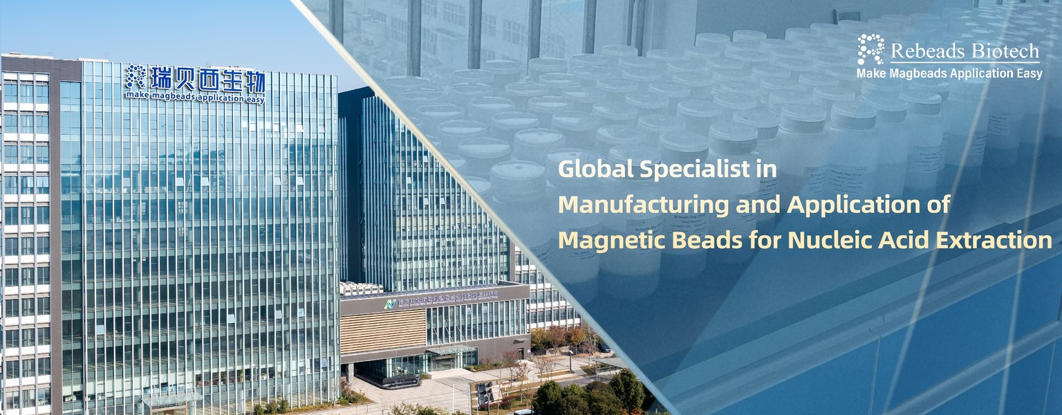 China best RNA Extraction Magnetic Beads on sales