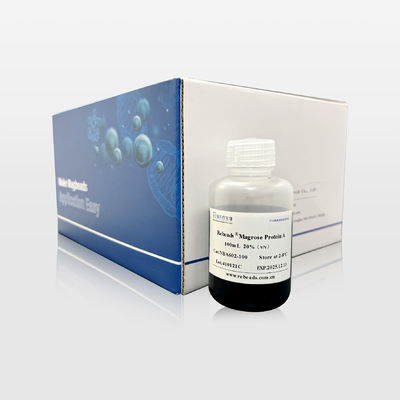 Rebeads® Protein A Magnetic Beads