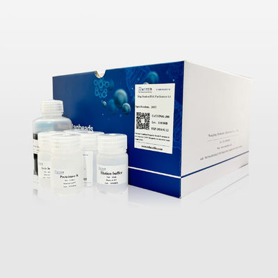 Mag Beads mRNA Purification Kit For Cloning and Sequence