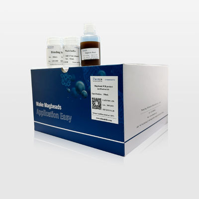 Efficient Mag Beads PCR Product Purification Kit