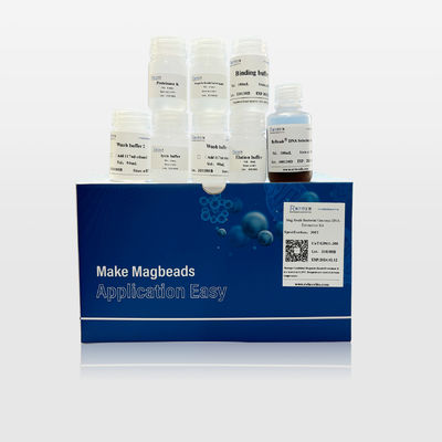 GP611 Mag Beads Bacterial Genomic DNA Extraction Kit Wide Range Application