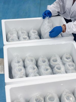 Rebeads CfDNA Special B Cf-DNA Extraction Cell Free DNA Purification Exceptional Purity