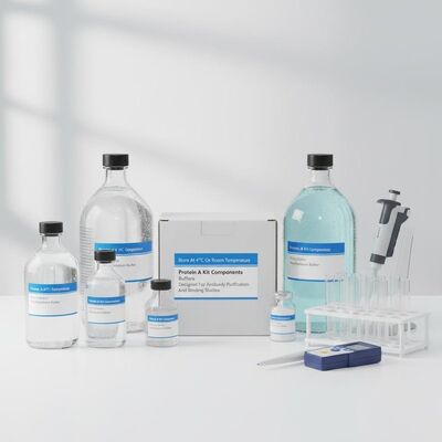 Store At 4°C Or Room Temperature Protein A Kit Components Buffers Designed For Antibody Purification And Binding Studies
