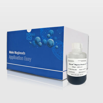 Rebeads® Protein A/G Magnetic Beads