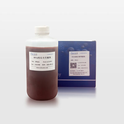 RNA Purification Magnetic Beads