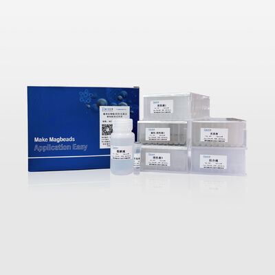 Magnetic Bead-Based Total RNA Extraction Kit for Cells, Tissues and Blood