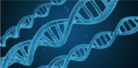 Magnetic Bead-Based Genomic DNA Extraction Kit for Whole Blood, Cells and Tissues