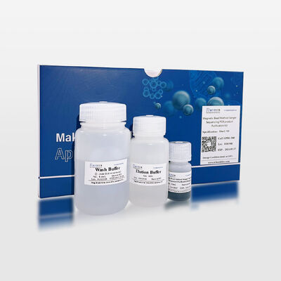 Magnetic Bead-Based Sanger Sequencing PCR Product Purification Kit