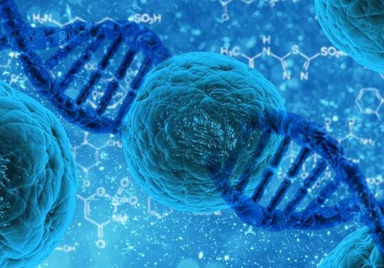 Magnetic Bead-Based Host Cell Residual DNA Extraction Kit