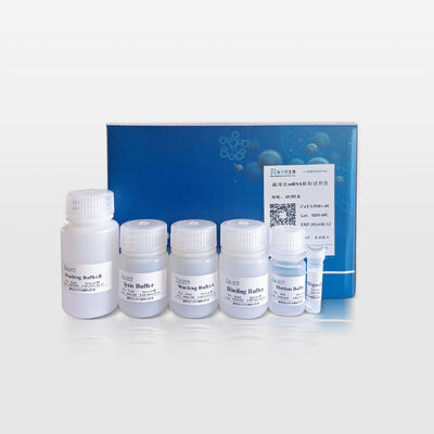 Magnetic Bead-based mRNA Purification Kit