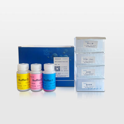 Magnetic Bead-based Plasmid Extraction Kit