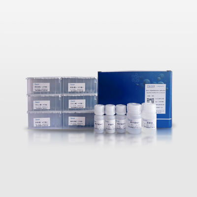 Magnetic Bead-based Soil Genomic DNA Extraction Kit