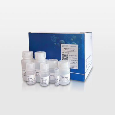 Magnetic Bead-based FFPE Tissue Genomic DNA Extraction Kit
