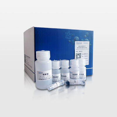 Magnetic Bead-Based Plant Tissue Genomic DNA Extraction Kit