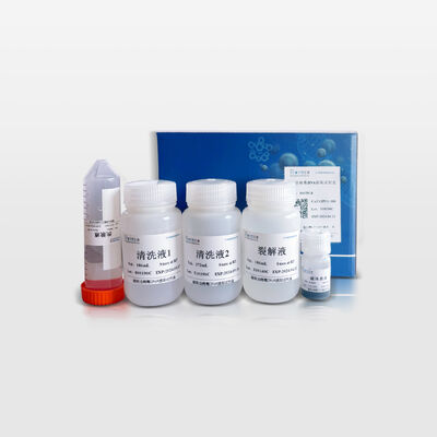 Magnetic Bead-based Viral DNA/RNA Extraction Kit