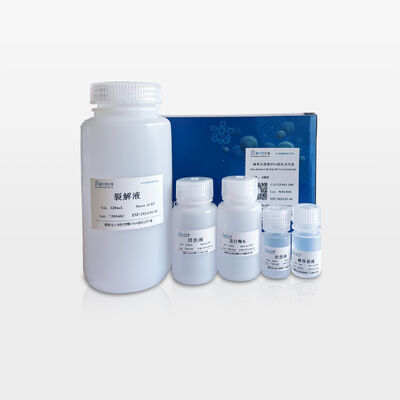 Magnetic Bead-Based Cell-Free DNA Extraction Kit
