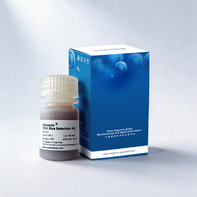 Rebeads DNA Size Selection Kit