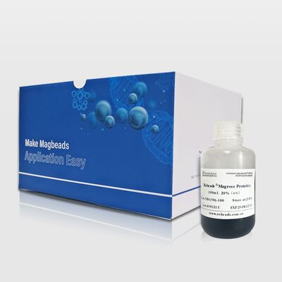 Magnetic Beads For Protein Purification