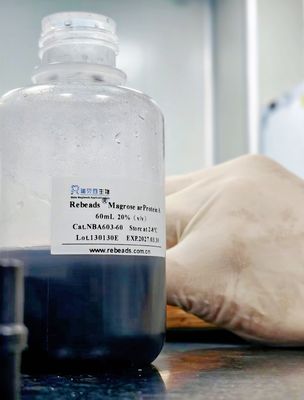 Effective Magrose Ni NTA Magnetic Beads For Research Use Only