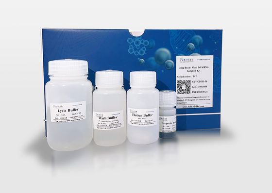 Oligo dT Magnetic Beads for mRNA Purification