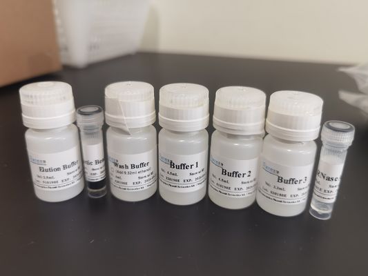 Mag Beads Big Volume Plasmid DNA Extraction Kit For Molecular Experiments