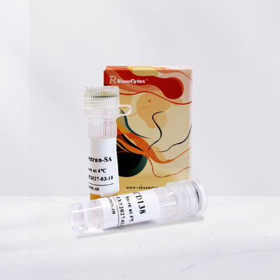 NanoCytex Mag CD138 kit, mouse