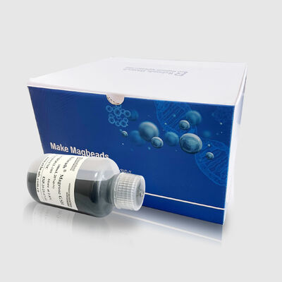 Rebeads® Magrose GSH Magnetic Beads