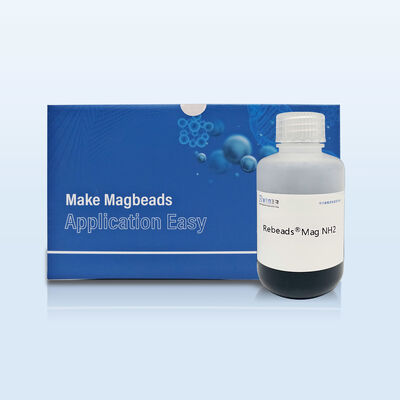 Amino Magnetic Beads