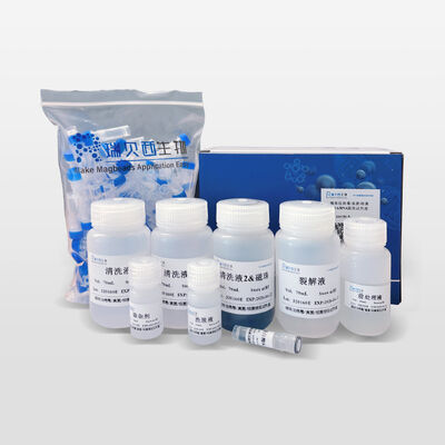 Magnetic Bead Viral/Fungal/Bacterial DNA & RNA Extraction Kit