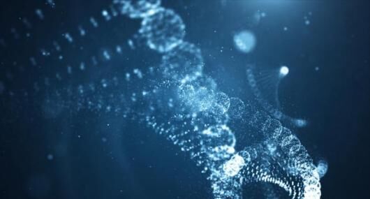 Magnetic Bead-Based Clot Genomic DNA Extraction Kit
