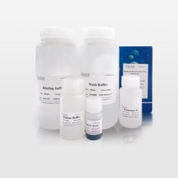Magnetic Bead-Based Whole Blood Genomic DNA Extraction Kit
