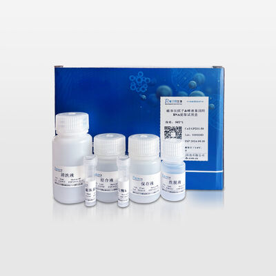 Magnetic Bead-Based Swab/Saliva Genomic DNA Extraction Kit