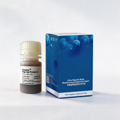 Protein G Magnetic Beads