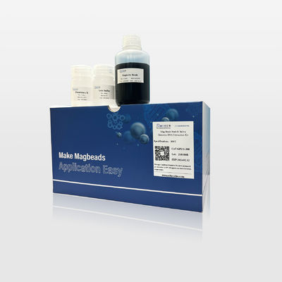 Kit de Extração de DNA Genômico Universal de Alta Pureza Mag Beads Seguro de Operar