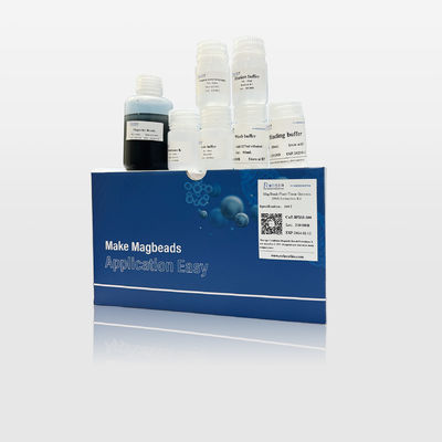 Kit Ekstraksi DNA Genomik FFPE Mag Beads Efektif untuk Aplikasi PCR