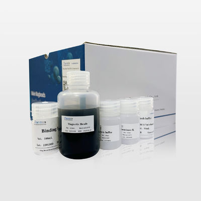 Kit de Extração de DNA de Fezes com Esferas Magnéticas Confiável Fácil de Usar Operação Rápida