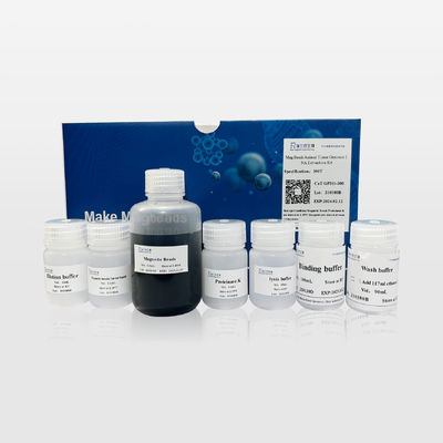 Schnelles Mag-Beads-Kit zur Extraktion genomischer DNA aus tierischem Gewebe, einfache Bedienung