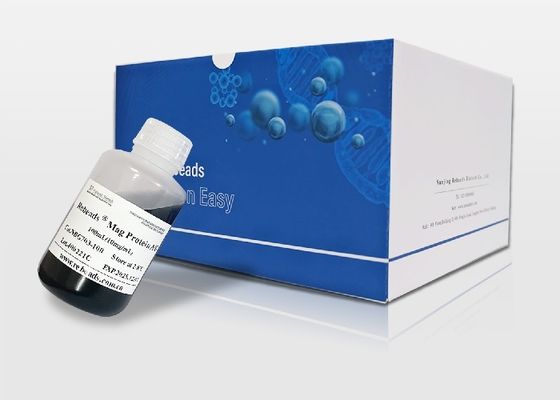 Perlas Magnéticas Rebeads Mag Proteína G para Investigación de Purificación de Proteínas. Solo para uso en investigación.