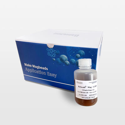 Perles magnétiques de streptavidine pour la découverte de biomarqueurs et le développement thérapeutique