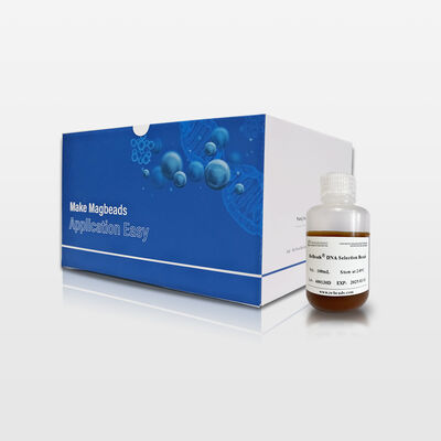 Hạt từ chọn lọc kích thước DNA để tăng cường độ chính xác trong các quy trình công việc Sinh học phân tử và Nghiên cứu bộ gen