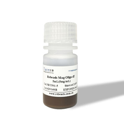 Rebeads Mag Oligo dT